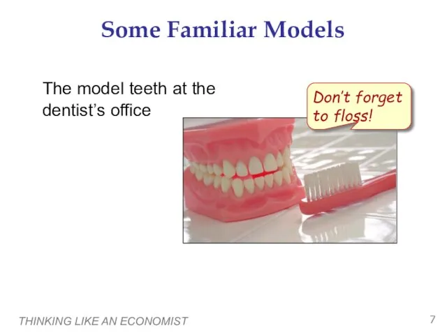 THINKING LIKE AN ECONOMIST Some Familiar Models The model teeth at the dentist’s office