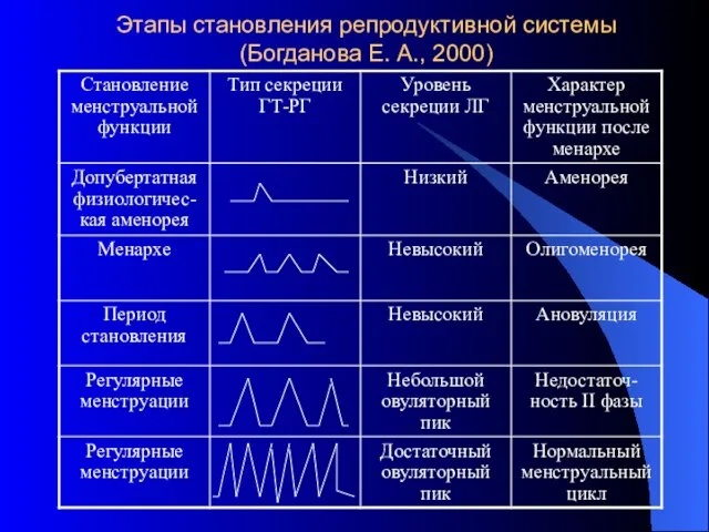 Этапы становления репродуктивной системы (Богданова Е. А., 2000)