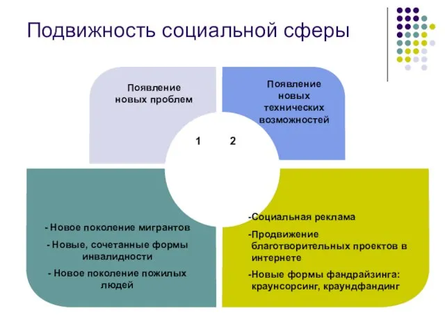 Появление новых проблем Появление новых технических возможностей - Новое поколение мигрантов -