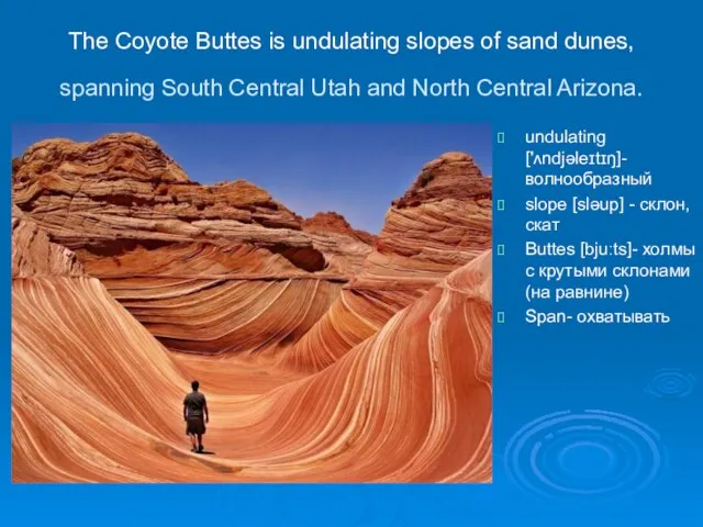 The Coyote Buttes is undulating slopes of sand dunes, spanning South Central