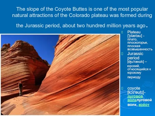 The slope of the Coyote Buttes is one of the most popular