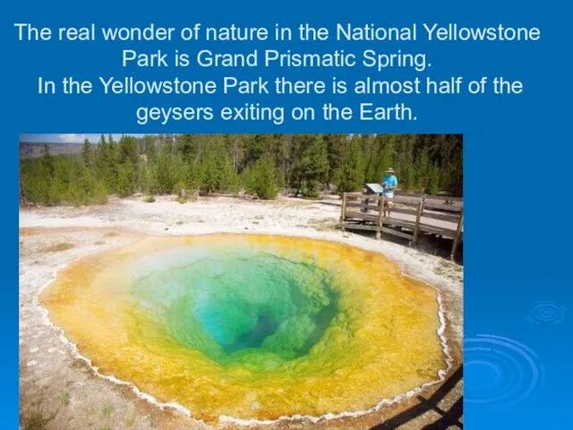 The real wonder of nature in the National Yellowstone Park is Grand