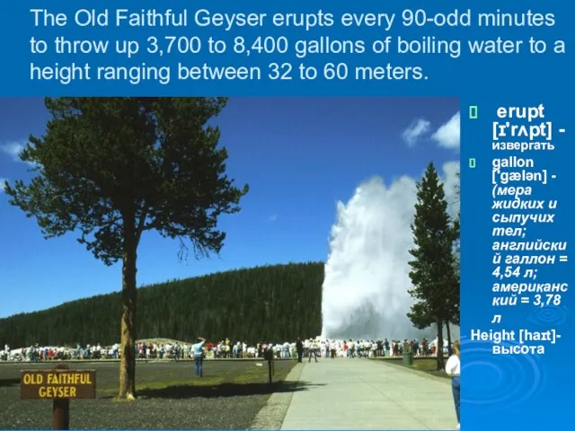 The Old Faithful Geyser erupts every 90-odd minutes to throw up 3,700