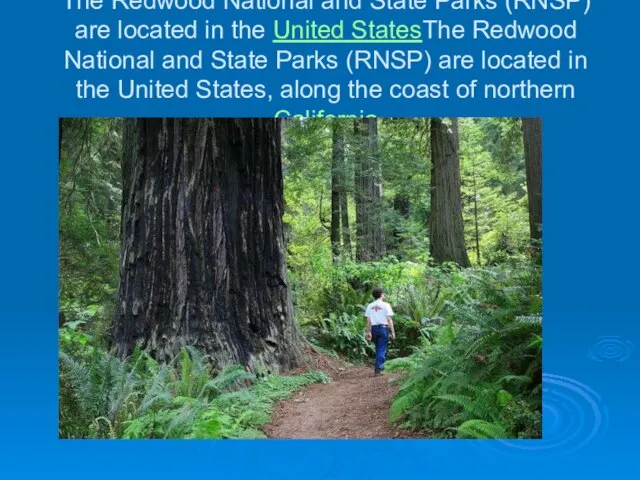 The Redwood National and State Parks (RNSP) are located in the United