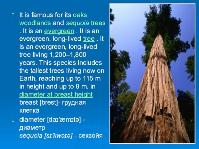 It is famous for its oaks woodlands and sequoia trees . It