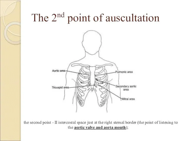 The 2nd point of auscultation the second point - II intercostal space