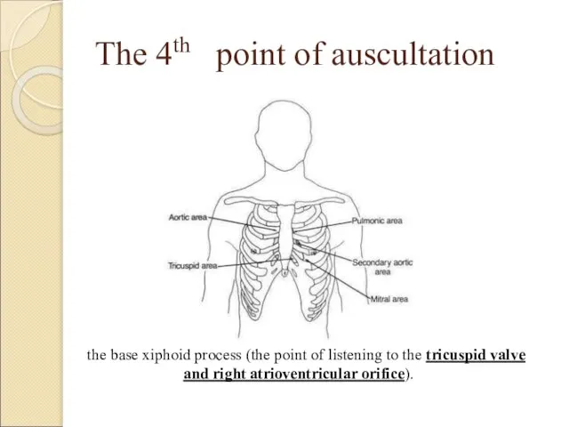 The 4th point of auscultation the base xiphoid process (the point of