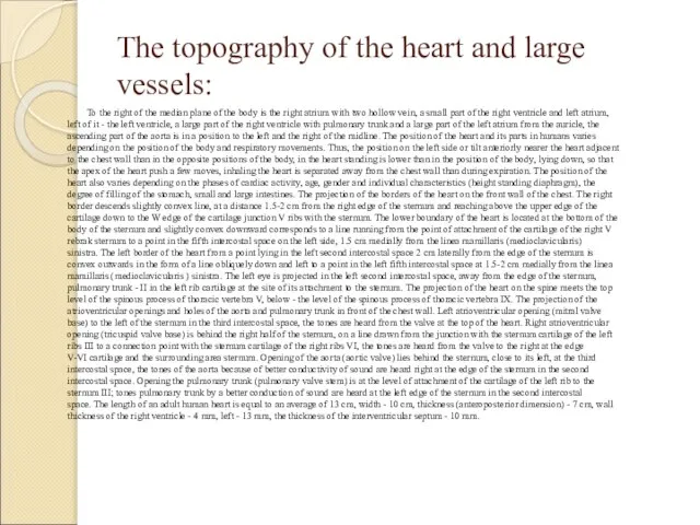 The topography of the heart and large vessels: To the right of