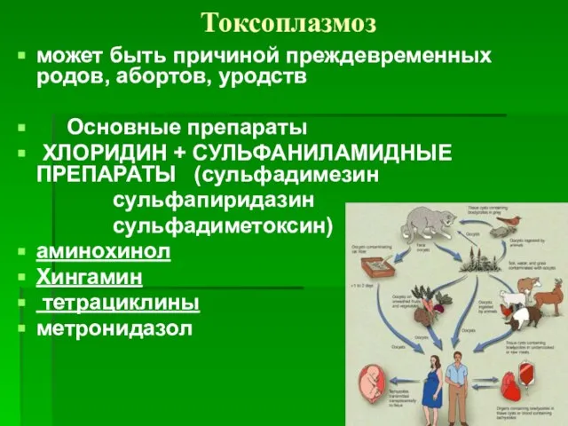 Токсоплазмоз может быть причиной преждевременных родов, абортов, уродств Основные препараты ХЛОРИДИН +