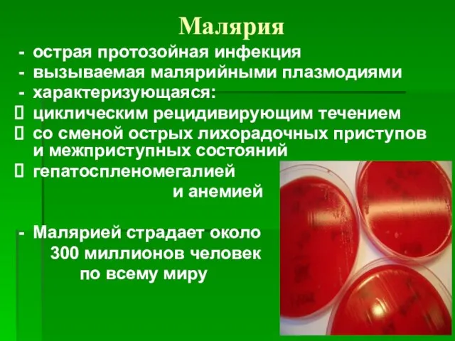 Малярия острая протозойная инфекция вызываемая малярийными плазмодиями характеризующаяся: циклическим рецидивирующим течением со