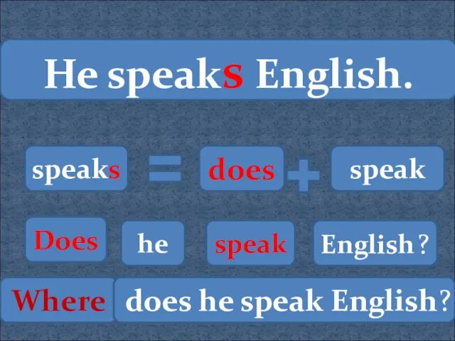 He speaks English. speaks does speak Does he speak English ? Where does he speak English?