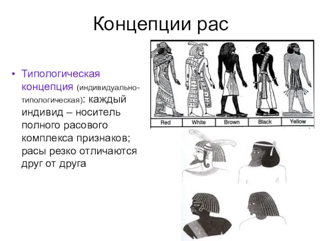 Концепции рас Типологическая концепция (индивидуально-типологическая): каждый индивид – носитель полного расового комплекса