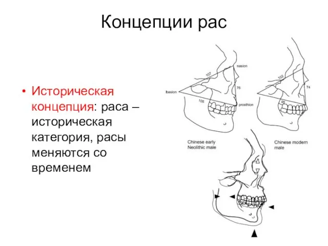 Концепции рас Историческая концепция: раса – историческая категория, расы меняются со временем