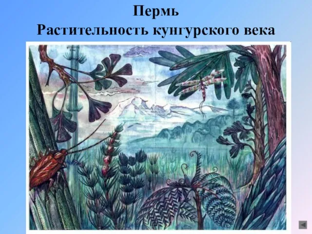 Пермь Растительность кунгурского века