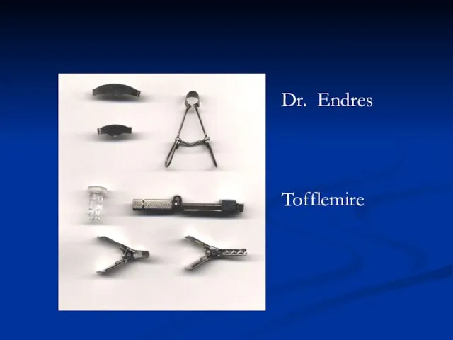 Dr. Endres Tofflemire