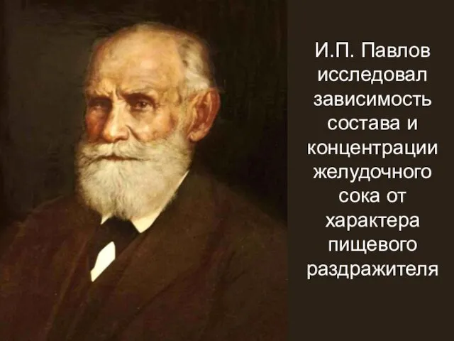 И.П. Павлов исследовал зависимость состава и концентрации желудочного сока от характера пищевого раздражителя