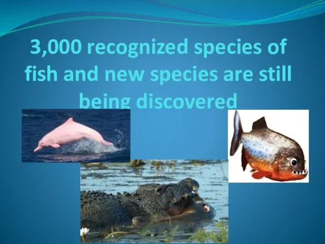 3,000 recognized species of fish and new species are still being discovered