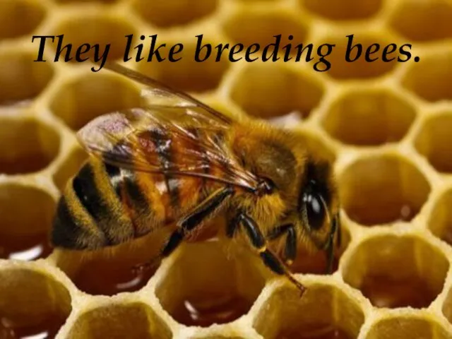 They like breeding bees.