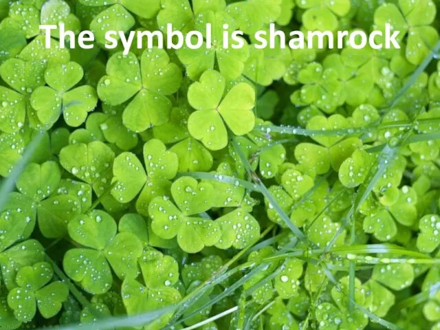 The symbol is shamrock