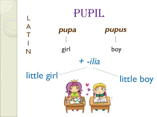 pupil pupa pupus L A T I N girl boy + -ilia little girl little boy