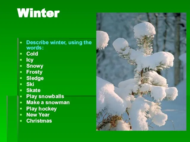 Winter Describe winter, using the words: Cold Icy Snowy Frosty Sledge Ski