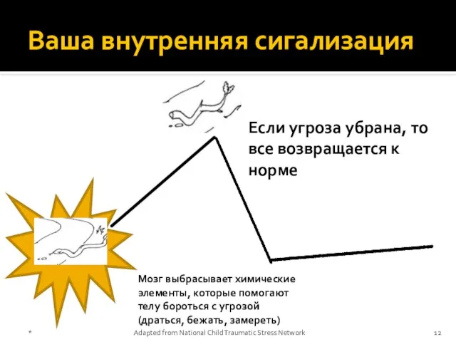 Ваша внутренняя сигализация Если угроза убрана, то все возвращается к норме Мозг