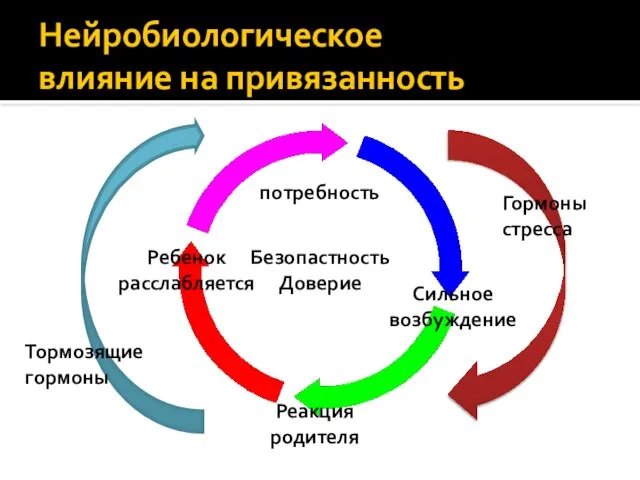 Нейробиологическое влияние на привязанность потребность Сильное возбуждение Реакция родителя Ребенок расслабляется Безопастность