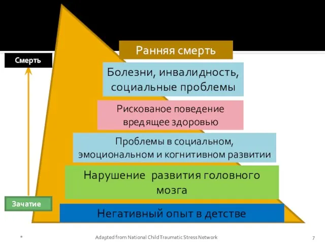 * Adapted from National Child Traumatic Stress Network Негативный опыт в детстве