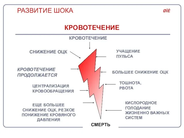 РАЗВИТИЕ ШОКА КРОВОТЕЧЕНИЕ СМЕРТЬ УЧАЩЕНИЕ ПУЛЬСА СНИЖЕНИЕ ОЦК БОЛЬШЕЕ СНИЖЕНИЕ ОЦК ЦЕНТРАЛИЗАЦИЯ