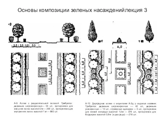 Основы композиции зеленых насаждений лекция 3 А-9. Аллея с разделительной полосой. Требуется: