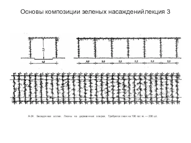 Основы композиции зеленых насаждений лекция 3 А-24. Беседочная аллея. Лианы на деревянных