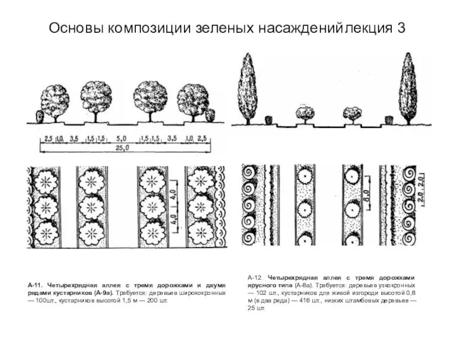 Основы композиции зеленых насаждений лекция 3 А-11. Четырехрядная аллея с тремя дорожками