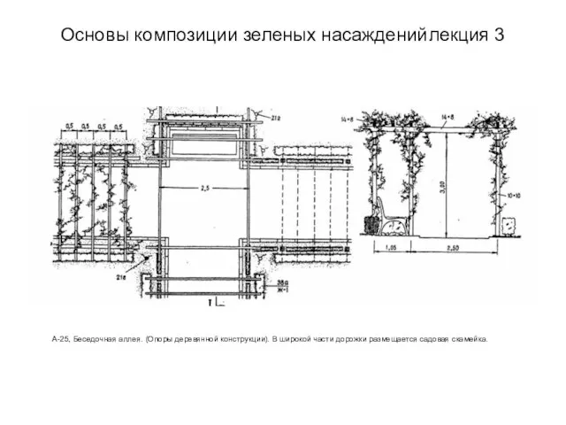 Основы композиции зеленых насаждений лекция 3 А-25, Беседочная аллея. (Опоры деревянной конструкции).