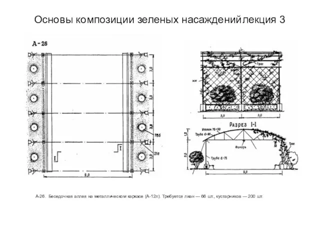 Основы композиции зеленых насаждений лекция 3 А-26. Беседочная аллея на металлическом каркасе