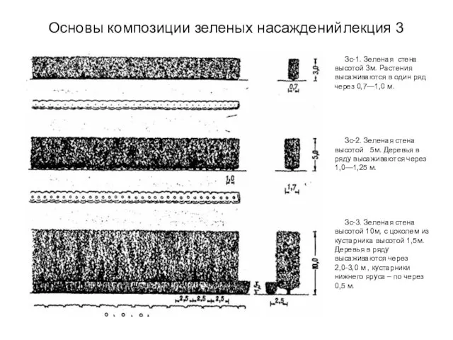 Основы композиции зеленых насаждений лекция 3 Зс-1. Зеленая стена высотой 3м. Растения