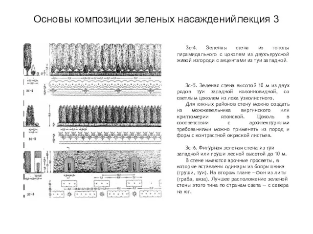 Основы композиции зеленых насаждений лекция 3