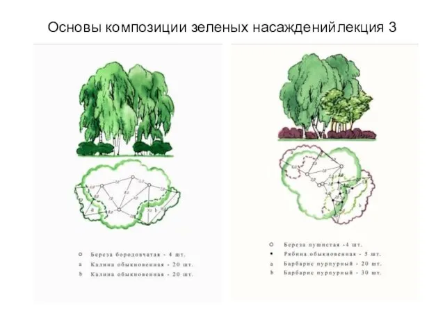 Основы композиции зеленых насаждений лекция 3