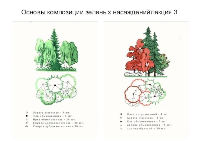 Основы композиции зеленых насаждений лекция 3