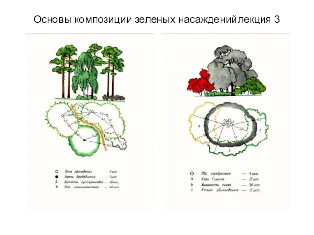 Основы композиции зеленых насаждений лекция 3