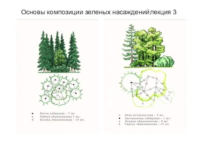 Основы композиции зеленых насаждений лекция 3