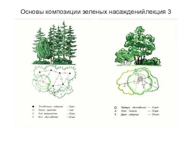 Основы композиции зеленых насаждений лекция 3