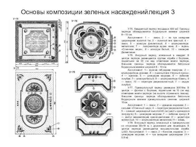 Основы композиции зеленых насаждений лекция 3 У-75. Квадратный партер площадью 400 м2.