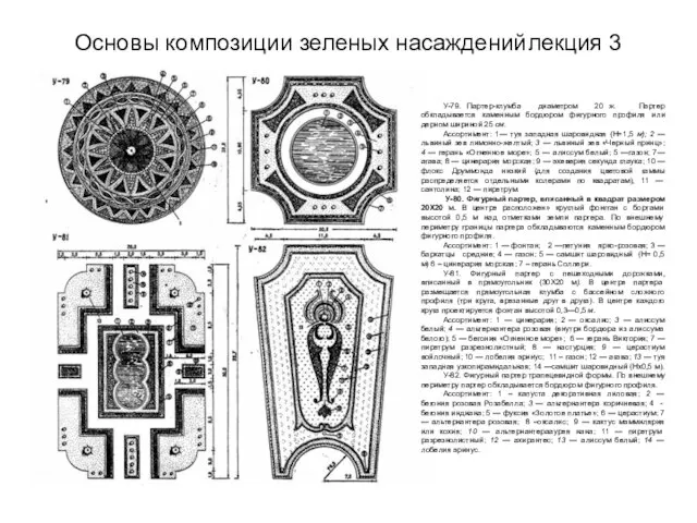 Основы композиции зеленых насаждений лекция 3 У-79. Партер-клумба диаметром 20 ж. Партер