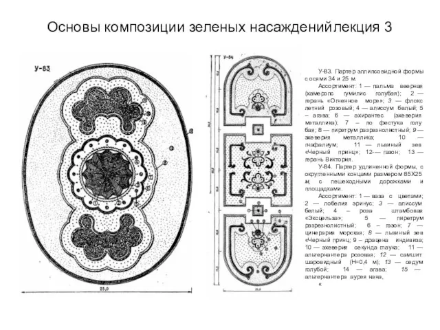 Основы композиции зеленых насаждений лекция 3 У-83. Партер эллипсовидной формы с осями