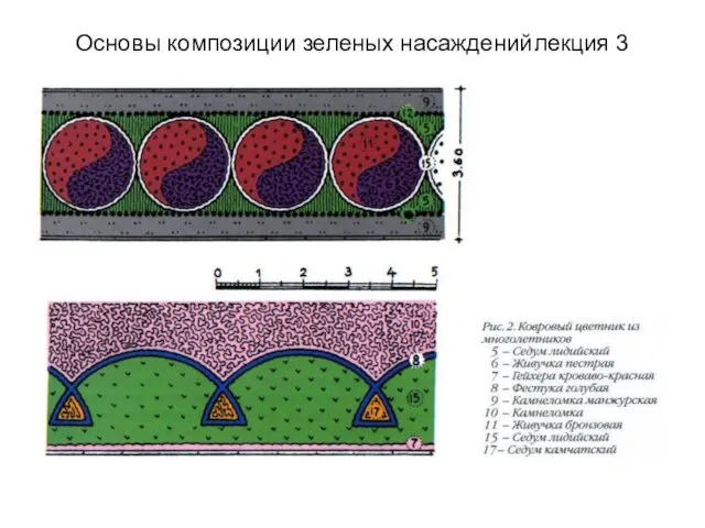 Основы композиции зеленых насаждений лекция 3