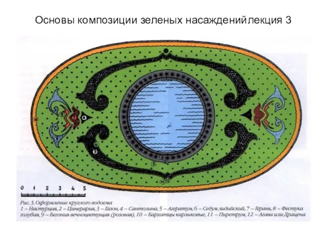 Основы композиции зеленых насаждений лекция 3