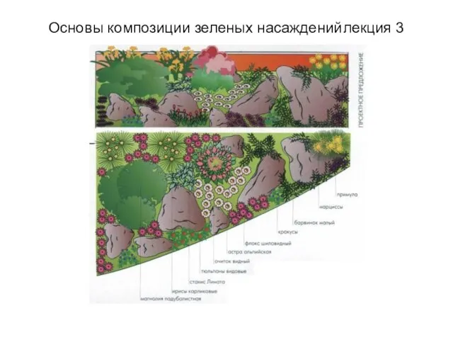 Основы композиции зеленых насаждений лекция 3