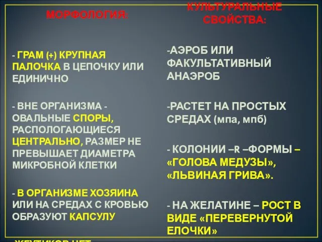 МОРФОЛОГИЯ: - ГРАМ (+) КРУПНАЯ ПАЛОЧКА В ЦЕПОЧКУ ИЛИ ЕДИНИЧНО - ВНЕ