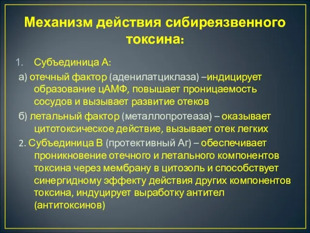 Механизм действия сибиреязвенного токсина: Субъединица А: а) отечный фактор (аденилатциклаза) –индицирует образование