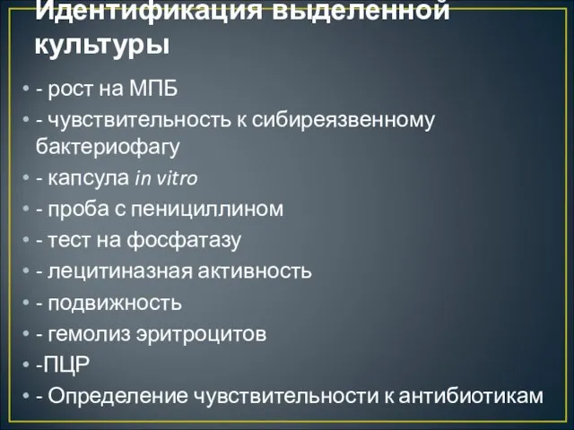 Идентификация выделенной культуры - рост на МПБ - чувствительность к сибиреязвенному бактериофагу